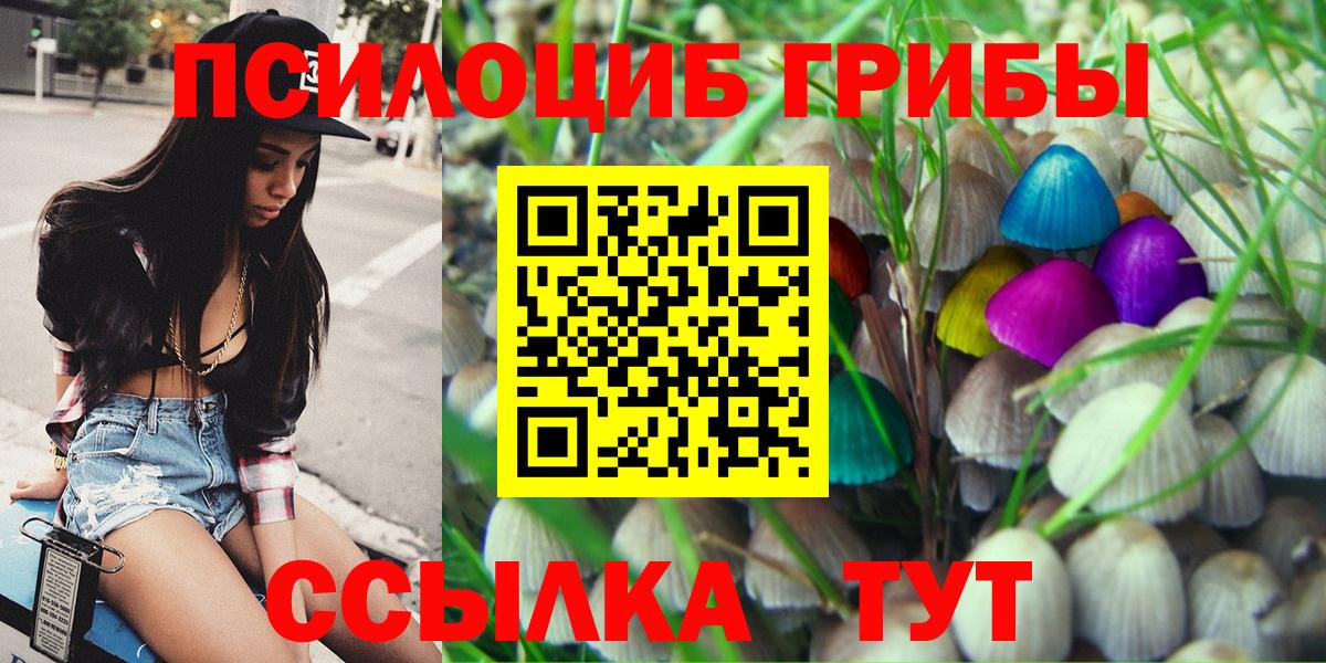 Галлюциногенные грибы Psilocybine cubensis  Вход с VPN  Галлюциногенные грибы MAGIC MUSHROOMS  Кохма 